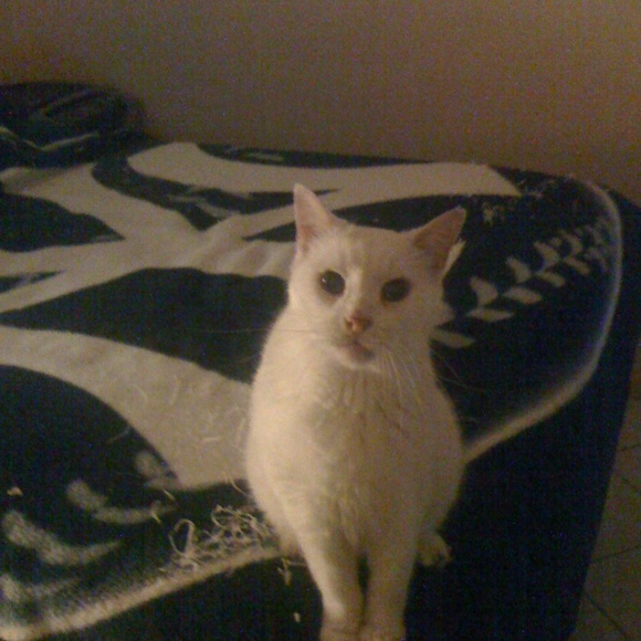 Meet your Posher, Mykel - Picture 8 of 8